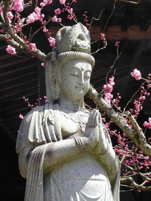 Statue of Guan Yin in the courtyard of Daien-in Temple, Mount Koya, Japan.