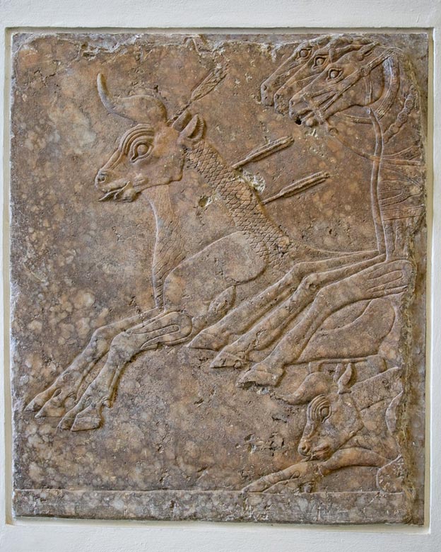 Refined low-relief section of a bull-hunt frieze from Nineveh, alabaster, c. 695 BC 