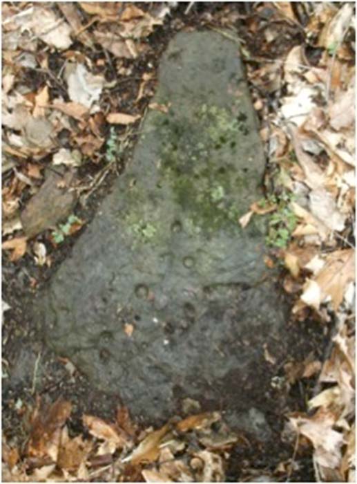 A triangular shaped stone found near Coal River