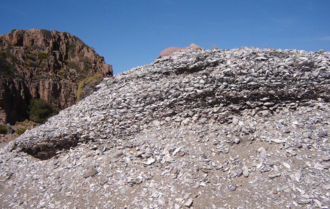 A shell midden in a mound formation, Argentina. 