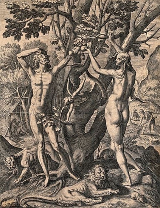 A woman-serpent bends around the Tree of Knowledge as Adam and Eve reach into the branches. Line engraving by T. de Bry after J. van Winghe. (Wellcome Images / CC BY-SA 4.0)