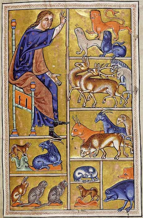 Adam names the beasts. Aberdeen Bestiary (12th century) (Public Domain)