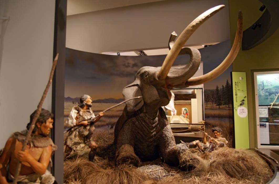 Mammoth hunt, Hyogo Prefectural Museum of Archaeology, Japan (CC BY-SA 2.5)