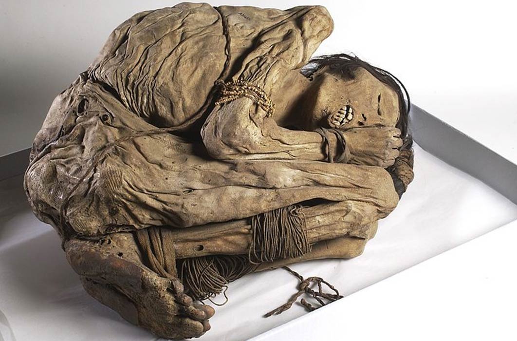 A naturally preserved Peruvian mummified male, possibly from the North coast of Peru where the Chimu culture buried their dead in 'mummy bundles', curled up in foetal position with bound hands and feet.(1200 – 1400 AD)(Wellcome Images / CC BY-SA 4.0)