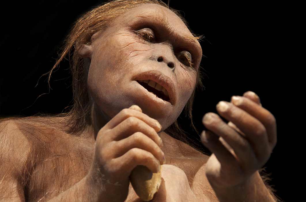 Australopithecus Afarensis (procy_ab / Adobe Stock)