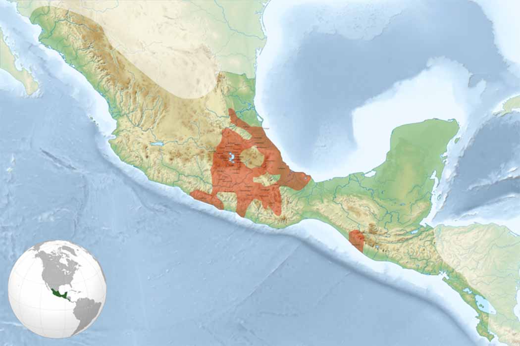 The Aztec empire in 1519 during the reign of Moctezuma Xocoyotzin or Moctezuma II (Aldan-2/ CC BY-SA 4.0)