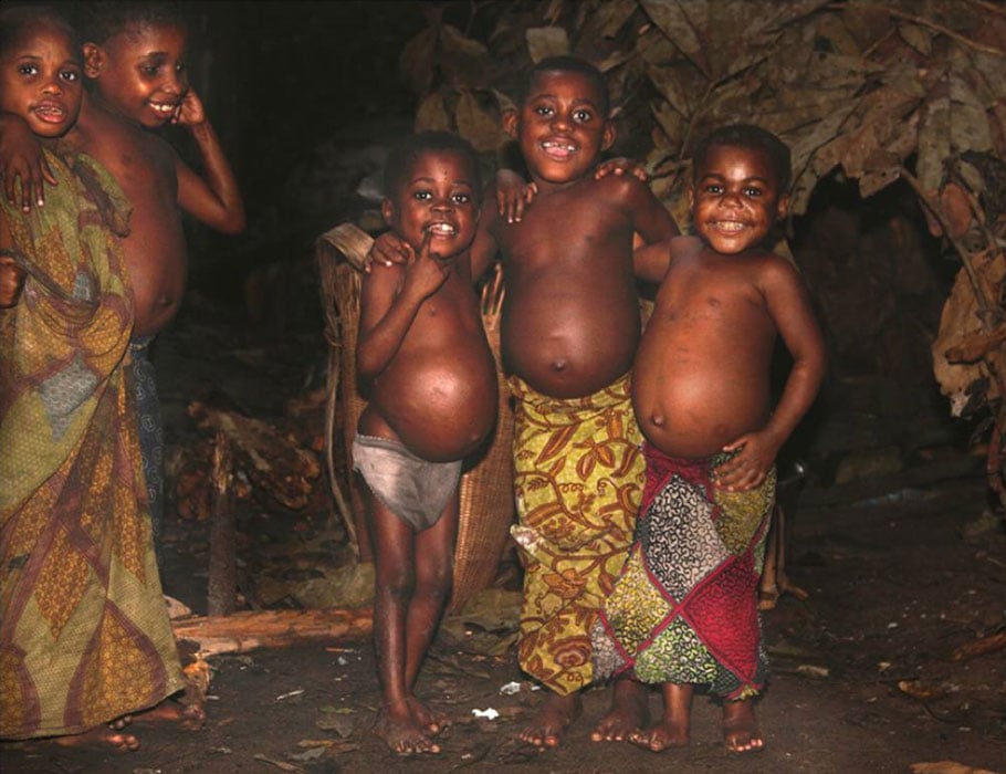 The Ba’Aka pygmies are on the brink of extinction.