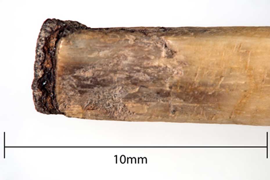 Bone needle from Mapungubwe Hill (Copyright: University of Pretoria)