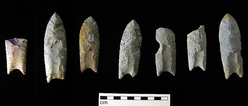 Clovis points from the Rummells-Maske Site, 13CD15, Cedar County, Iowa. (Bill Whittaker/ CC BY-SA 3.0)
