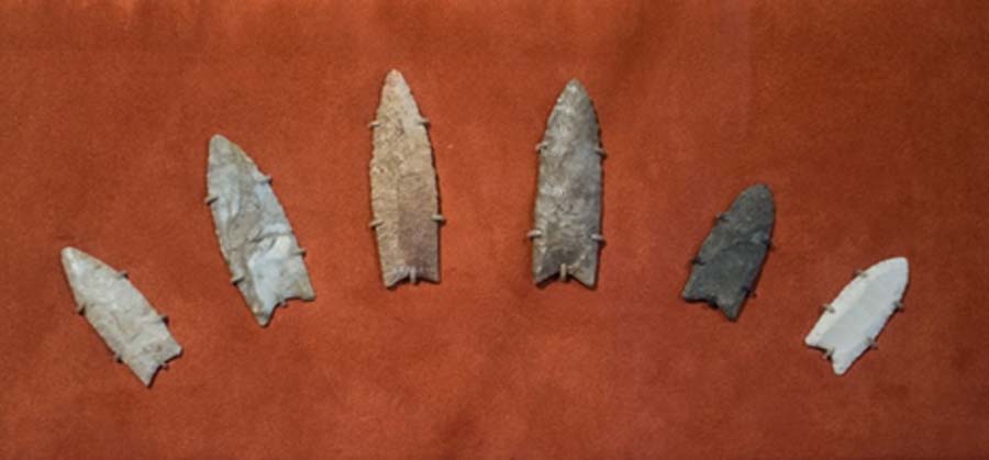 Clovis spearpoints from Clovis, New Mexico on display at the Cleveland Museum of Natural History in Cleveland, Ohio. Dated from 13,500 to 13,000 years ago they were found in (from left to right) Wisconsin, Wisconsin, Wisconsin/Illinois border, Illinois, Ohio, and Georgia. (CC BY-SA 2.0)