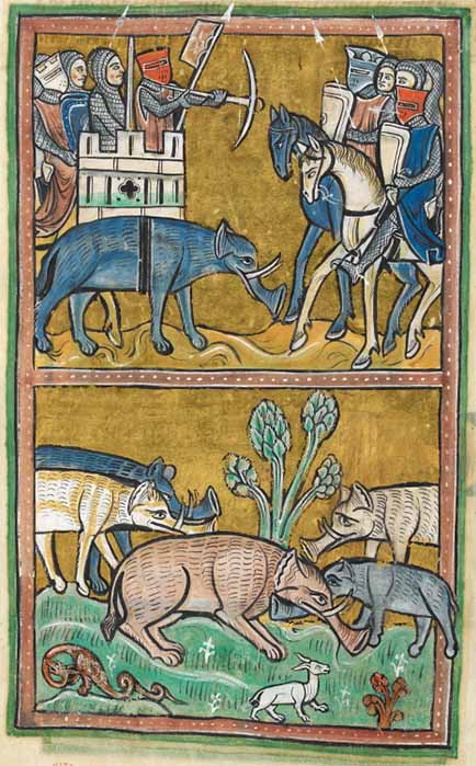 Elephants, who were thought to have been ridden into battle in India carrying castles on their backs. Rochester Bestiary (late 1200’s) (Public Domain)