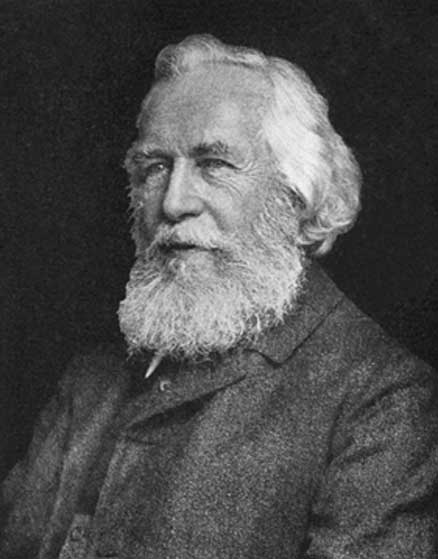 Ernst Heinrich Philipp August Haeckel (Public Domain)
