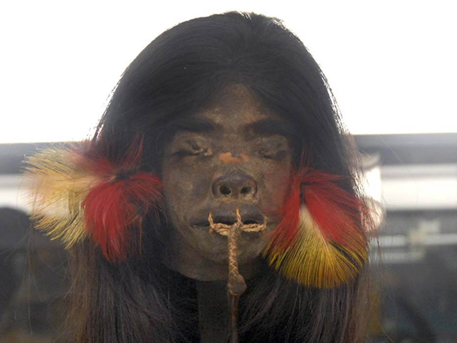 Shrunken head from the upper Amazon region
