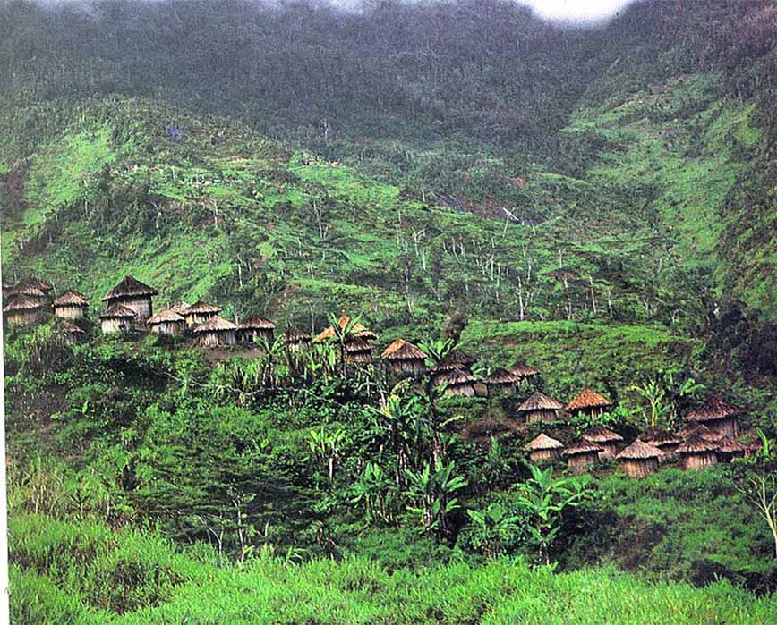 A Highlands village, dotting the verdant mountain slope in Western New Guinea (Frans Huby/ CC BY-SA 3.0)