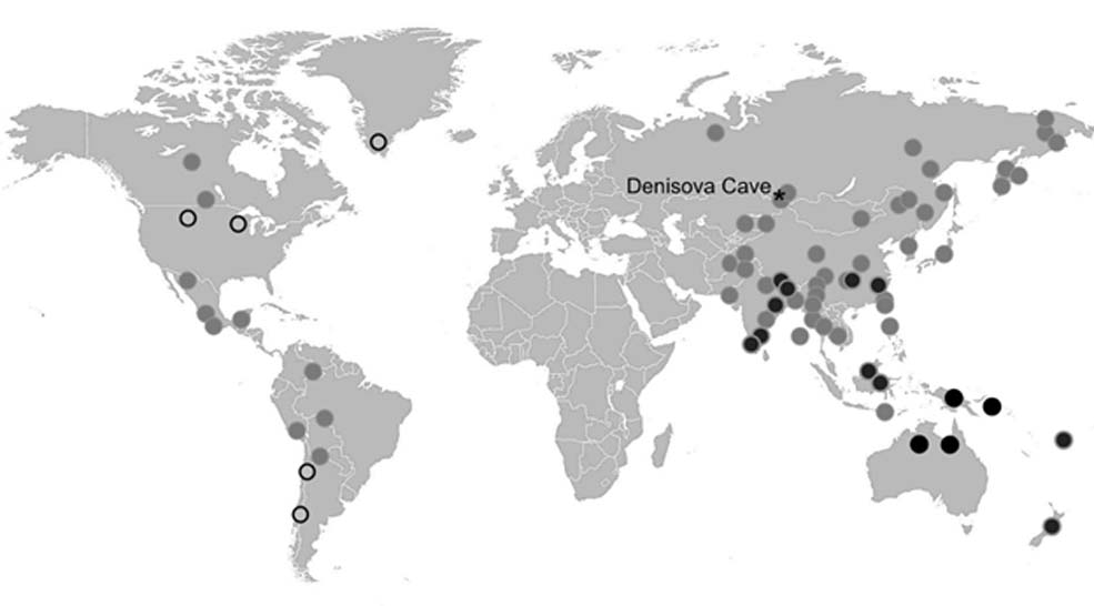 Map showing the distribution of Denisovan DNA in modern populations based on the Altaic Denisovan genome (after Sankararaman et al 2016). Black circles 3-5 %. Grey circles with black rings 2-3 %. Grey circles 1-2 &. Values are approximate only. Black rings indicate locations of more recent discoveries of Denisovan ancestry (Image: Courtesy of Author).