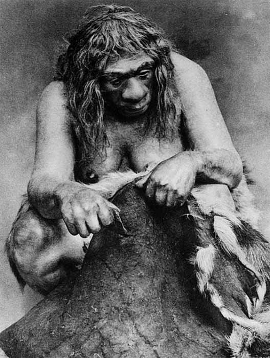 Restoration of a Neanderthal woman cleaning a reindeer skin. ( Wikimedia Commons )