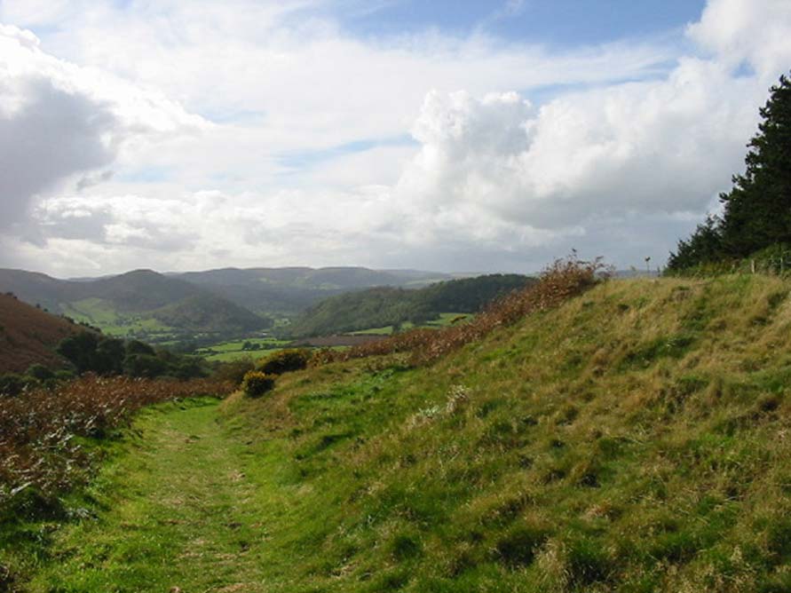 Looking along Offa's Dyke, near Knill, Herefordshire. (Mike Christie/CC BY-SA 2.0)