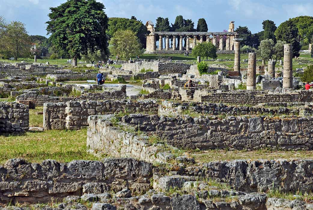 Ruins of Paestum, with the temple in the background ( lamio / Adobe Stock)