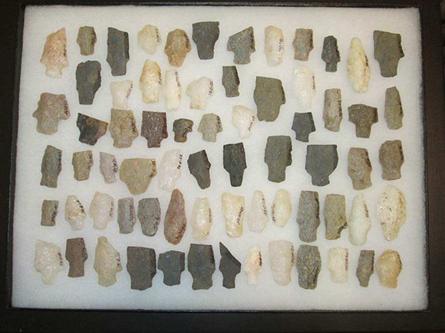 Prehistoric Native American projectile points. The smaller ones are arrowheads, and the larger ones are spearheads. 