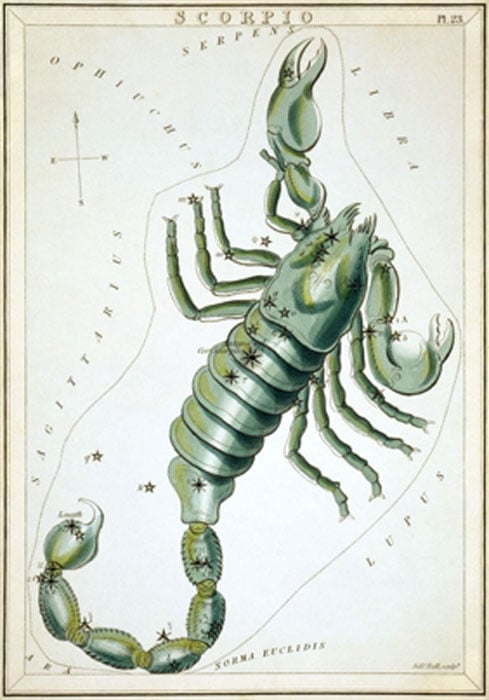 Scorpius as depicted in Urania's Mirror, a set of constellation cards published in London (circa 1825). (Public Domain)