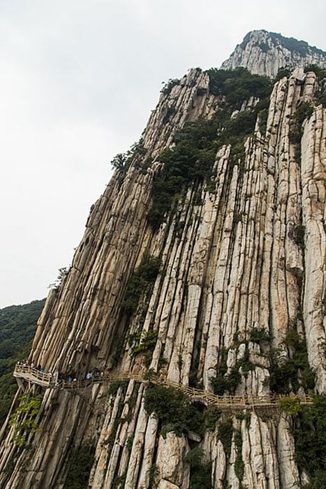 Shuce Cliff is a famous natural landmark on Mount Song, Henan, China, where the word ‘Shuce’ means ‘books’ in Chinese. This vertical upright was formed approximately 1.8 billion years ago by an intense orogeny - Zhongyue Movement, and monks would ascend and descend the rock on their hands and knees testing and developing their stamina, endurance and resistivity to pain. (CC BY-SA 4.0)