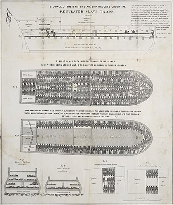 Stowage of the British slave ship Brookes under the regulated slave trade act of 1788. (Public Domain)