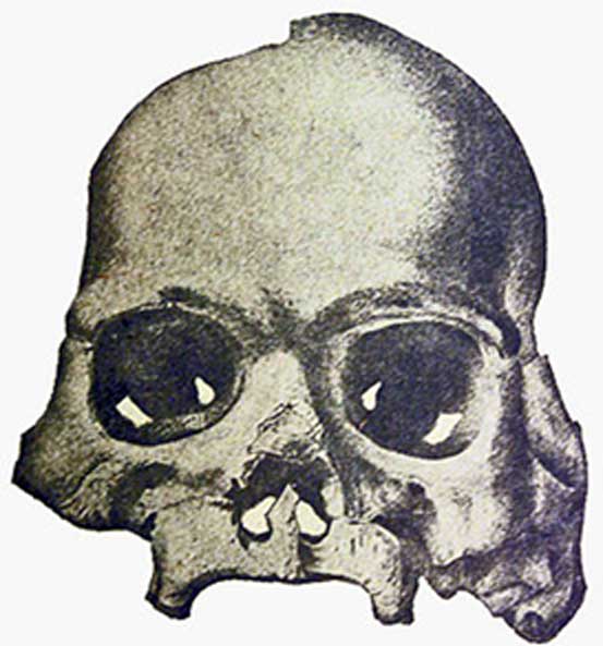 The Calaveras Skull, from William Henry Holmes' 1899 debunking book: Review of the Evidence Relating to Auriferous Gravel Man in California. (Public Domain)