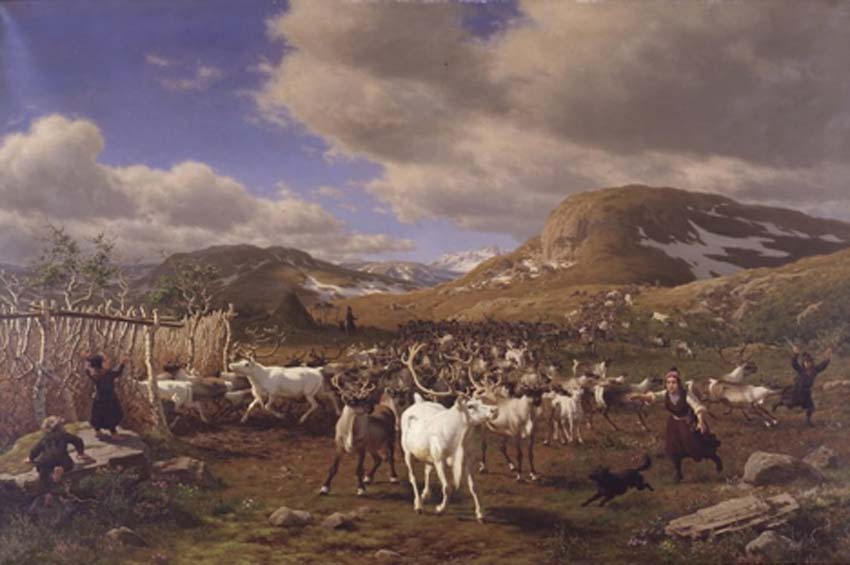 Traditional Sami herders “En rensdyrhjord drives til malkepladsen. Motivet fra højfjeldene nord for Røros”, by Carl Bøgh (1875).  (Public Domain).