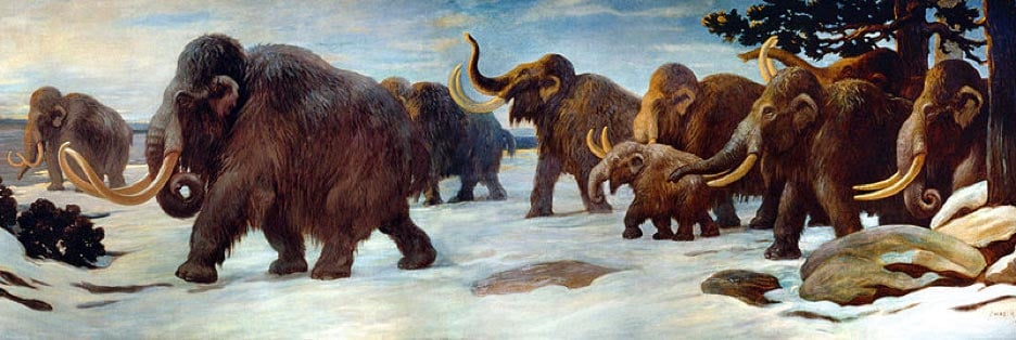 Wooly mammoths near the Somme River by Charles R. Knight, (Public Domain)