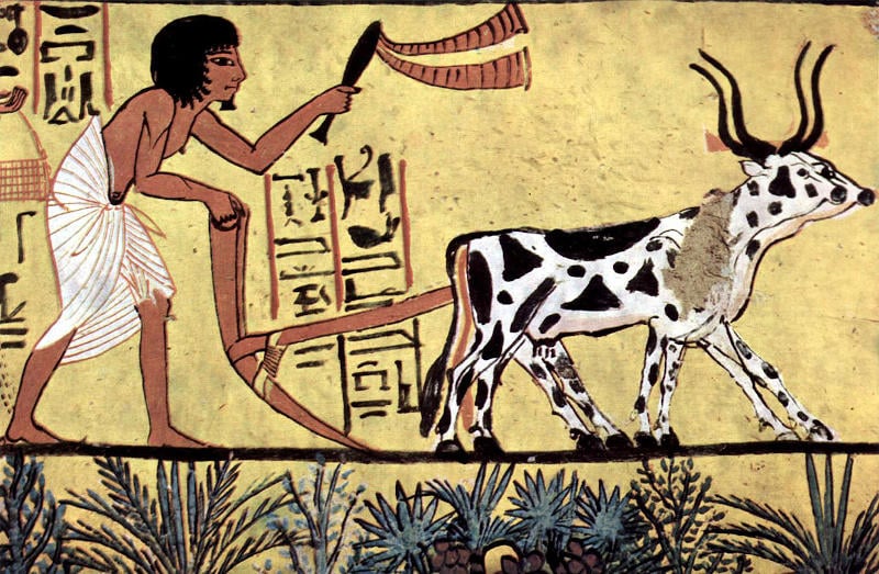 Painting of ancient Egyptian farmer tilling the soil.