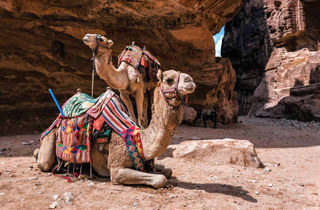 A caravan of camel traders waiting to pass through the Siq canyon (Volodymyr Shevchuk/ Adobe Stock)
