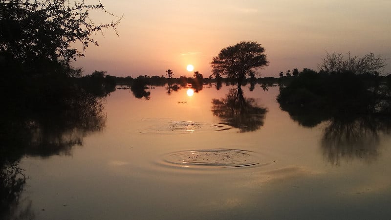 The flood of the Nile River at sunset.