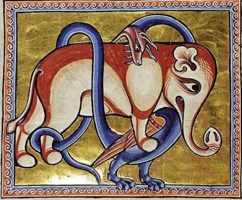 The elephant and the dragon. Aberdeen Bestiary (12th century) (Public Domain)