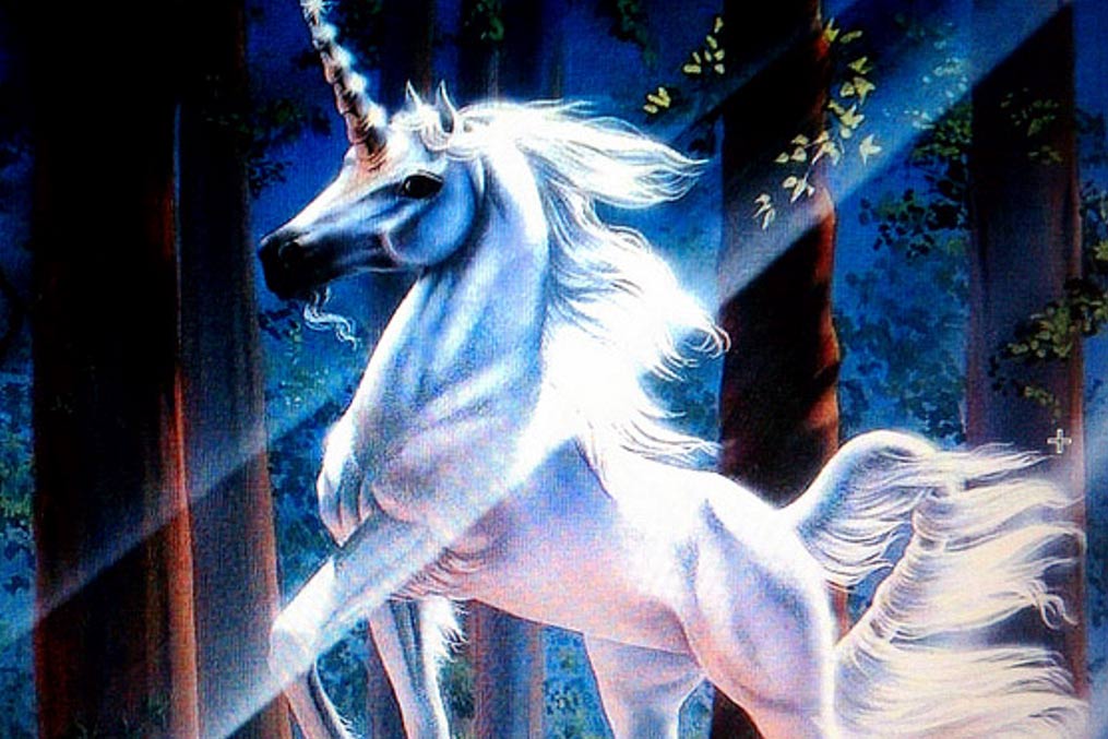 The magical unicorn, legend around the world.