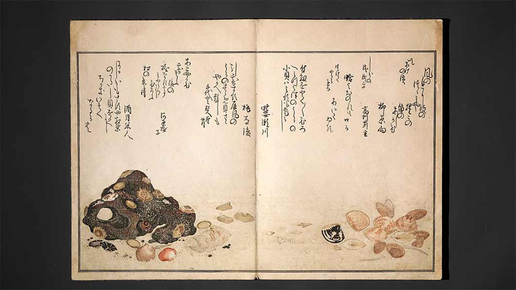 Illustrated page from Gifts from the Ebb Tide by Kitagawa Utamaro. Metropolitan Museum of Art (CC0)