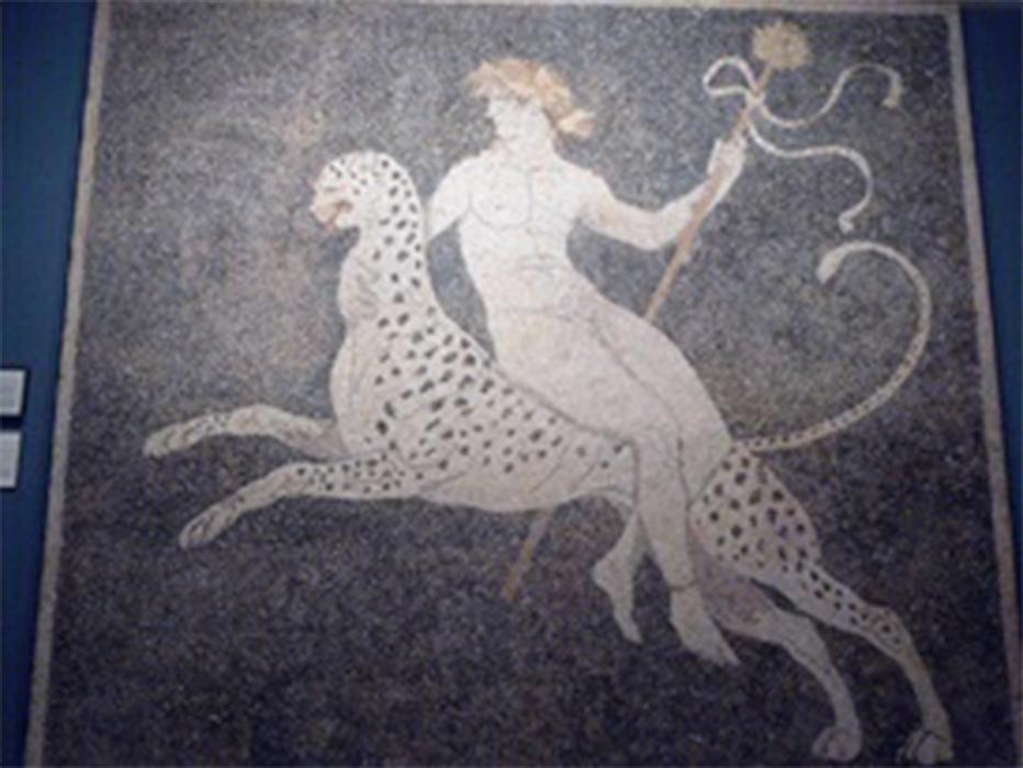 Dionysus riding a panther, mosaic floor in the 'House of Dionysus' at Pella. (late fourth century BC) Pella Archaeological Museum (CC BY-SA 2.0)