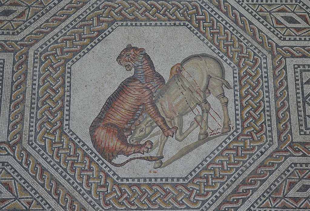 A tiger against a wild ass, the gladiator mosaic at the Roman villa in Nennig, Germany (Public Domain)