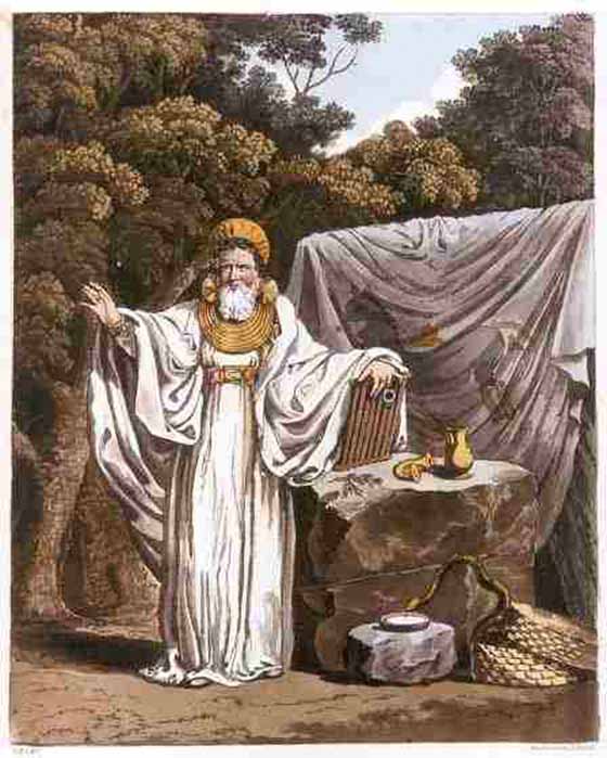 Arch Druid in His Judicial Habit', from The Costume of the Original Inhabitants of the British Islands by S.R. Meyrick and C.H. Smith (1815) (Public Domain)