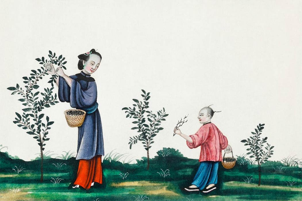Chinese painting illustrating a mother and a son plucking tea sprouts (ca.1800–1899) from the Miriam and Ira D. Wallach Division of Art, Prints and Photographs (CC0)
