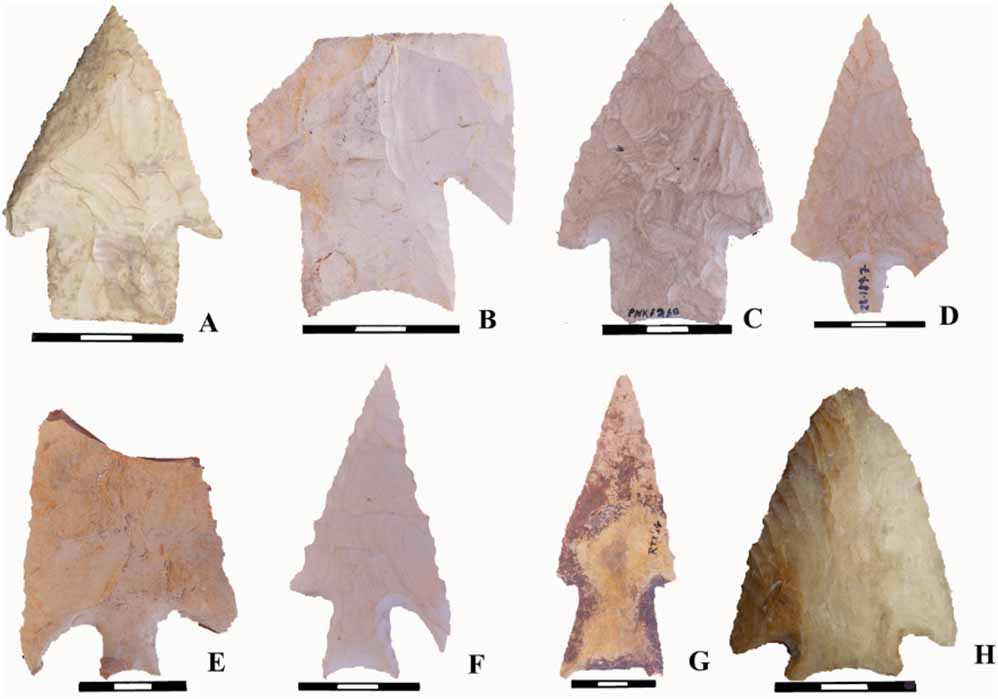 Preceramic projectile points from Belize (Keith M. Prufer et al/ CC BY-SA 4.0)