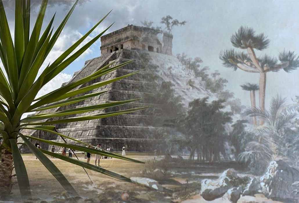 The current Pyramid of Kulkulkán at Chichén Itzá, blended with a drawing by Catherwood of the pyramid in 1843, still covered in trees and as-yet unrestored. (Image Deriv: Courtesy © Jonathon Perrin 2023)