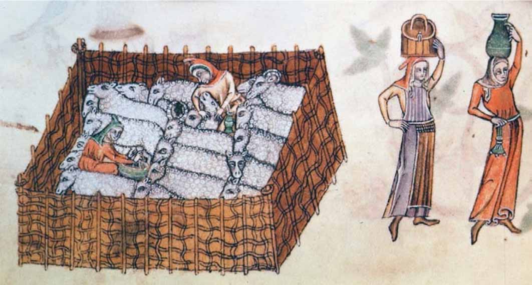 An agricultural scene from the 14th-century, by Luttrell Psalter, with a woman milking sheep and two women carrying jars (Public Domain)
