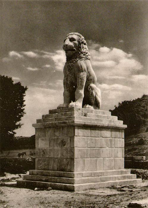 The lion from the summit of the Amphipolis Tomb restored and resurrected just south of Amphipolis in the 1930s (Image: Provided by the author - courtesy Jacques Roger, late 1930s).