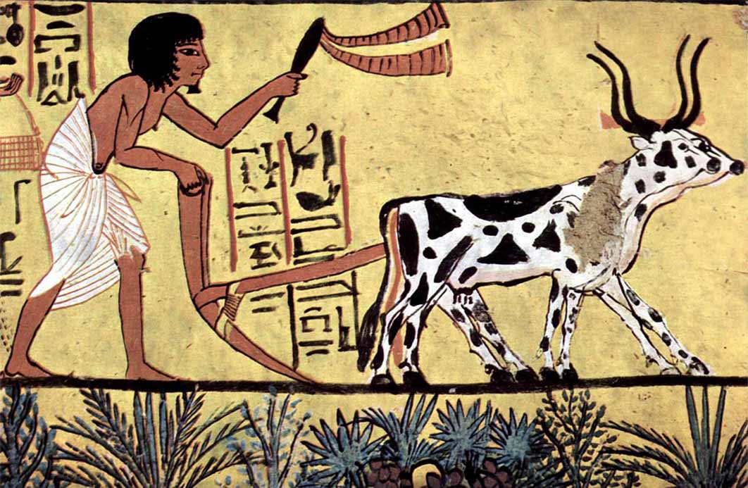 Agriculture in Egypt was a gift of civilization founded by Isis and Osiris. Painting from the burial chamber of Sennedjem (c. 1200 BC) (Public Domain)