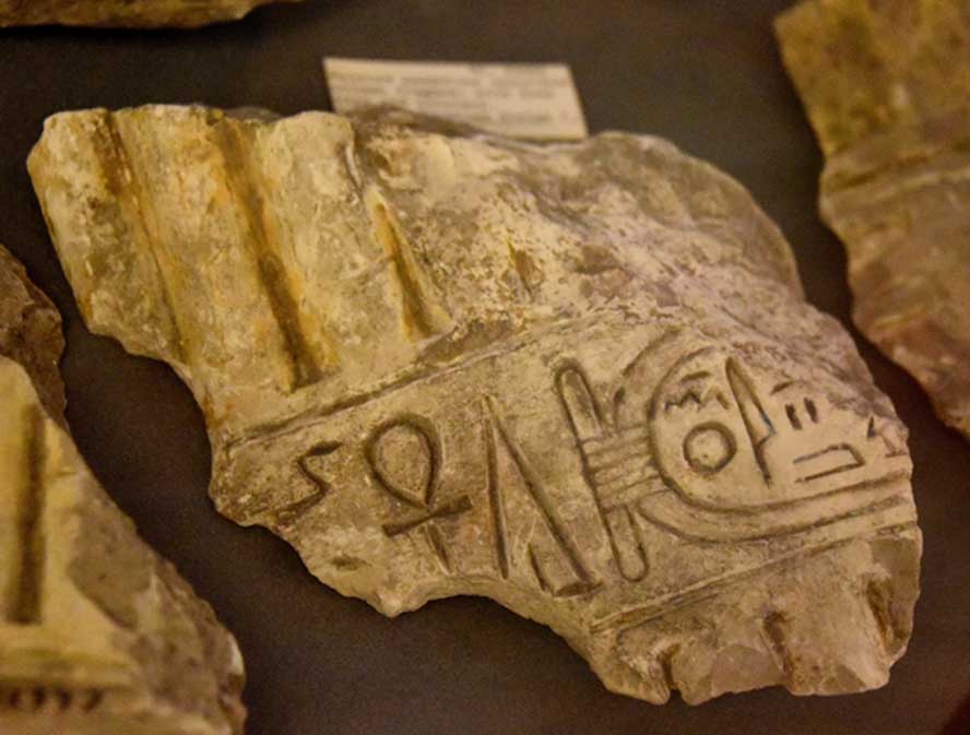 A limestone column fragment bears an early name of the Aten within a cartouche. Petrie Museum, London. (Photo: Osama Shukir Muhammed Amin FRCP(Glasg)/CC BY-SA 4.0)