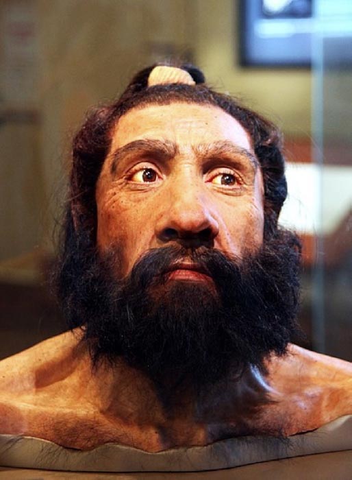 A model of an adult Neanderthal male head and shoulders on display in the Hall of Human Origins in the Smithsonian Museum of Natural History in Washington, D.C. (CC BY-SA 2.0)