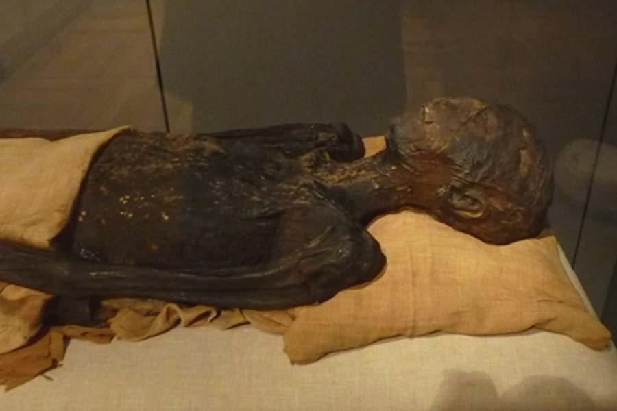 Mummy of the ancient Egyptian princess Ahmose, daughter of 17th Dynasty pharaoh Seqenenre Ta'a and his sister-wife Sitdjehuti, found in Queen's Valley tomb QV47, by Ernesto Schiaparelli in 1904. Turin, Museo Egizio.( Khruner/ CC BY-SA 4.0)