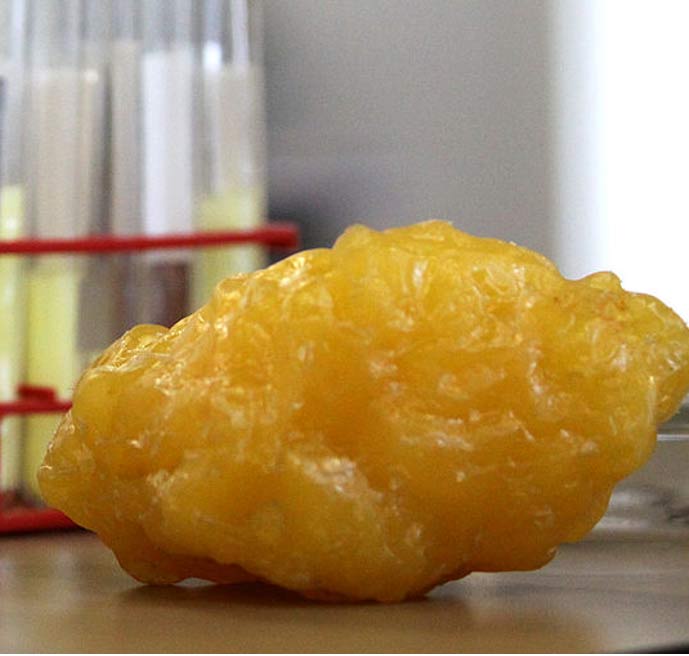 A replica of human fat. The natural color is yellow. 
