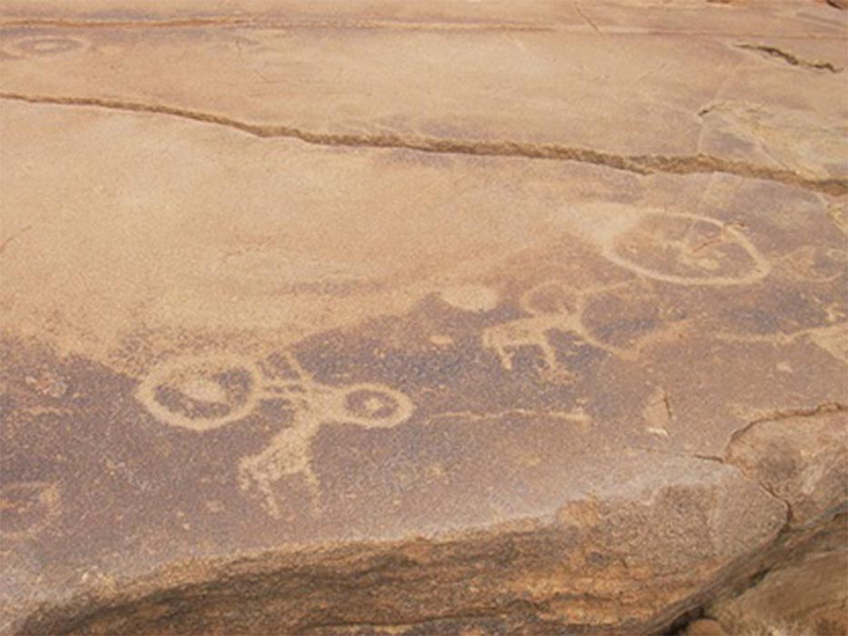 A sandstone slab at Twyfelfontein, Namibia. The animals are the older engravings, overlaid by the circles (mike/CC BY-SA 2.0)