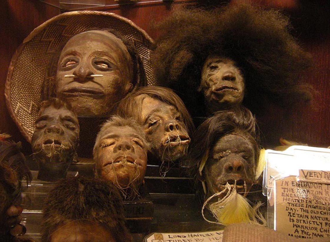 Shrunken heads in the permanent collection of 